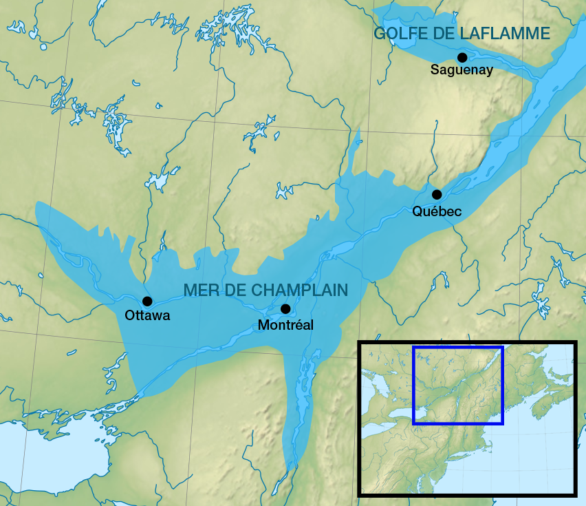 Image pour la question 21