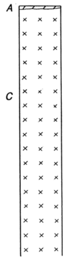 Image pour la question 5