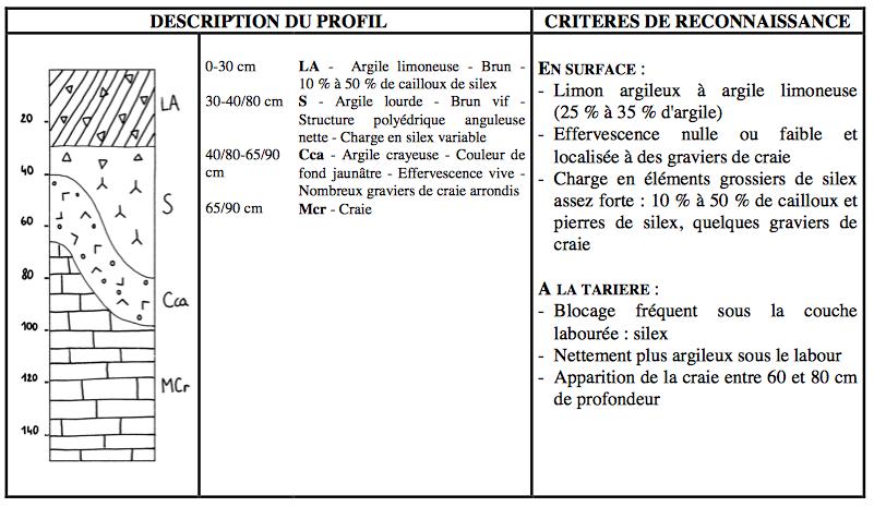 Image pour la question 18