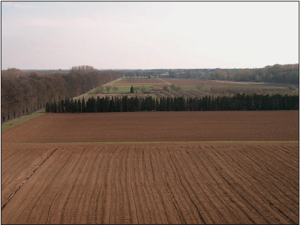 Image pour la question 33