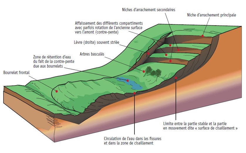 Image pour la question 14