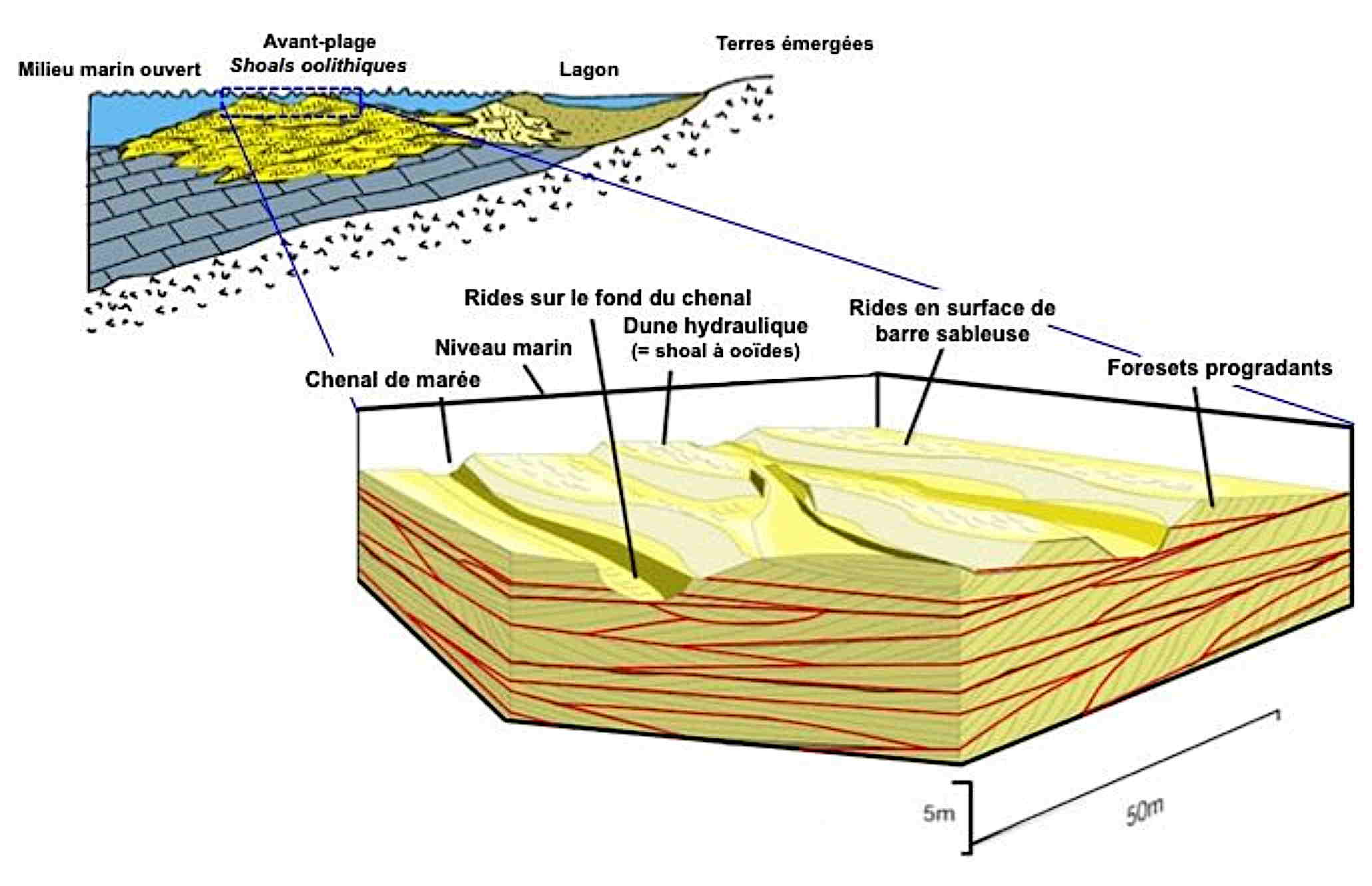 Image pour la question 3