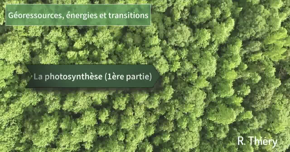 Illustration sur La photosynthèse